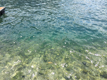 Paradise lake